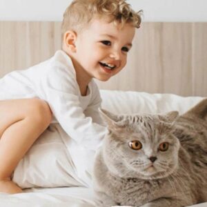 Mattress Protector | Waterproof Bed Cover | Bed Topper